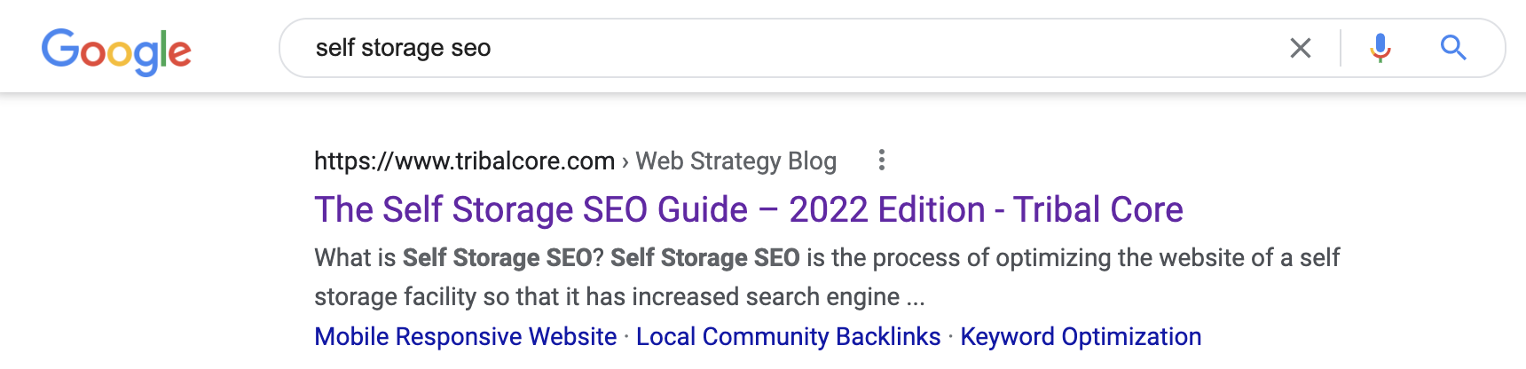 top result on Google search for self storage SEO
