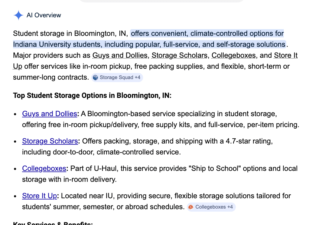 Google AI Overview showing Store It Up results for student storage search
